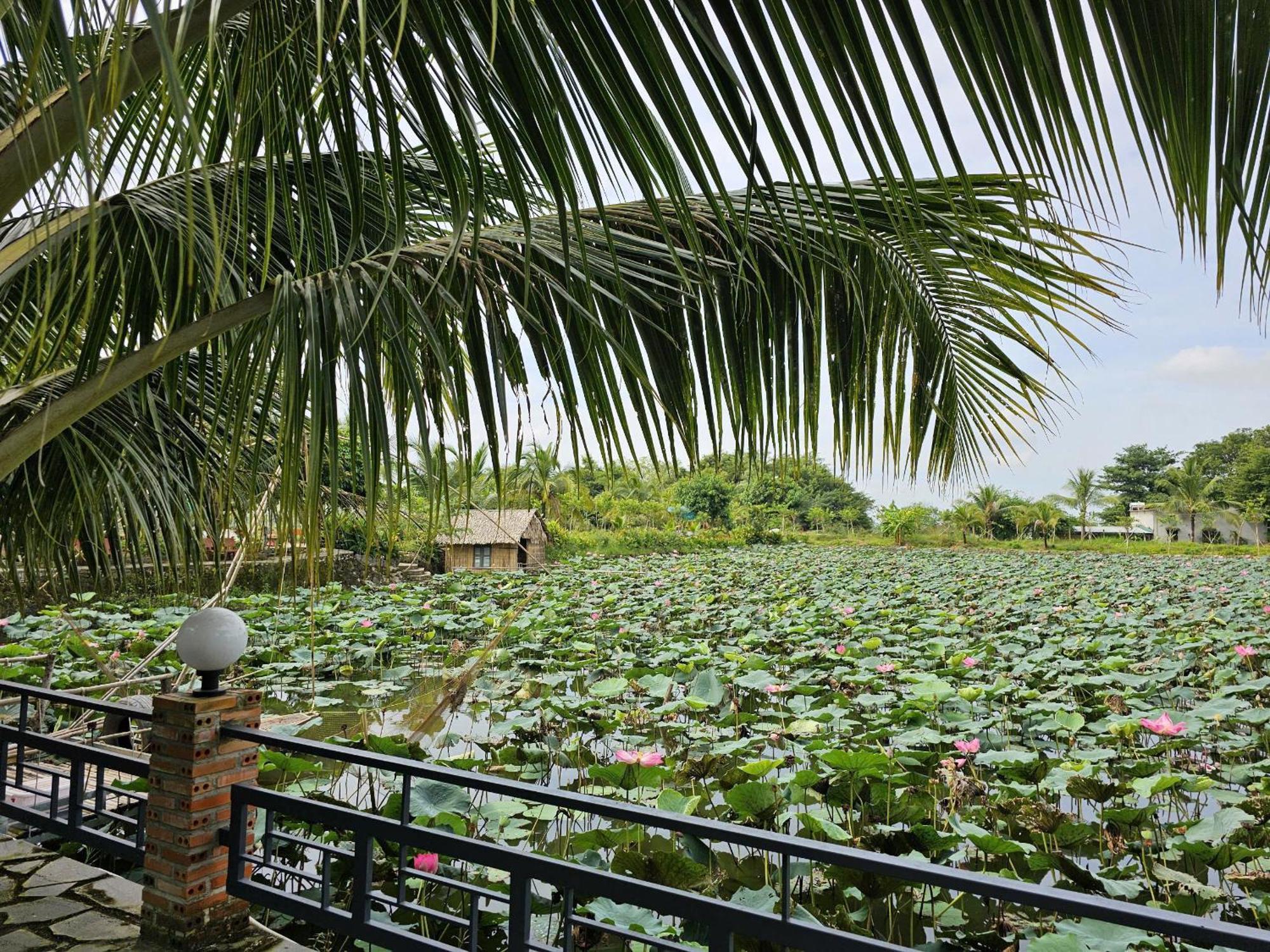 Phu Dien Homestay 吉仙 外观 照片